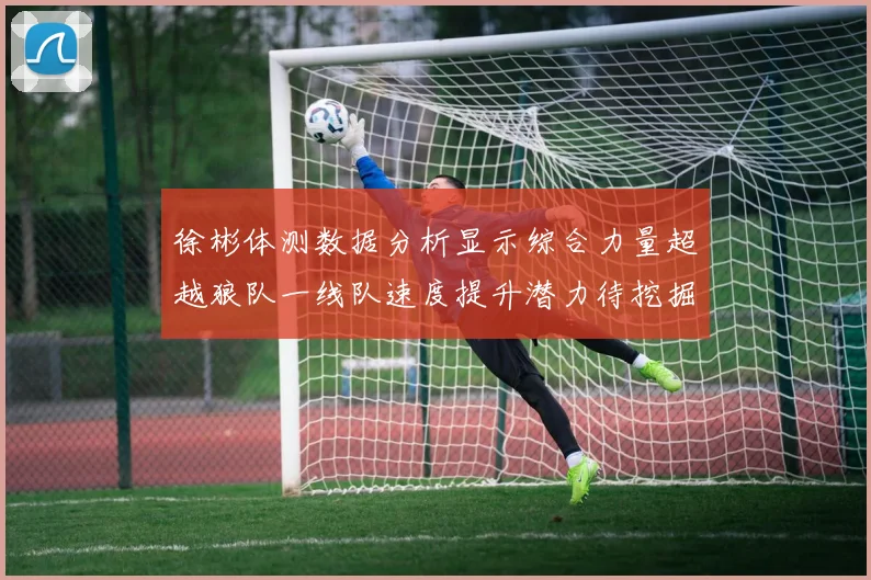 徐彬体测数据分析显示综合力量超越狼队一线队速度提升潜力待挖掘